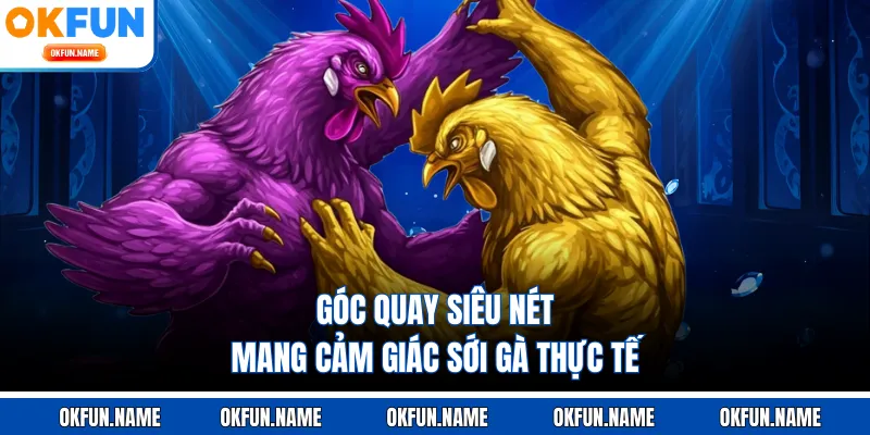 Góc quay siêu nét mang cảm giác sới gà thực tế