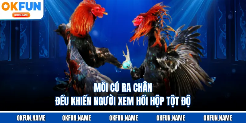 Mẹo chơi đá gà OKFUN đơn giản dễ áp dụng cho tân thủ