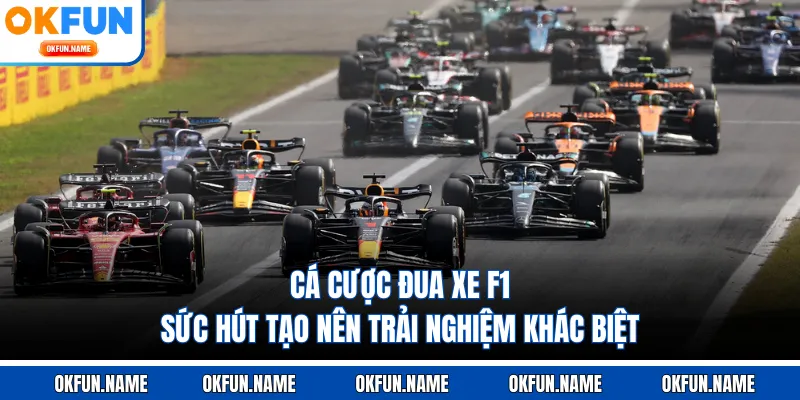 Cá Cược Đua Xe F1 - Sức Hút Tạo Nên Trải Nghiệm Khác Biệt